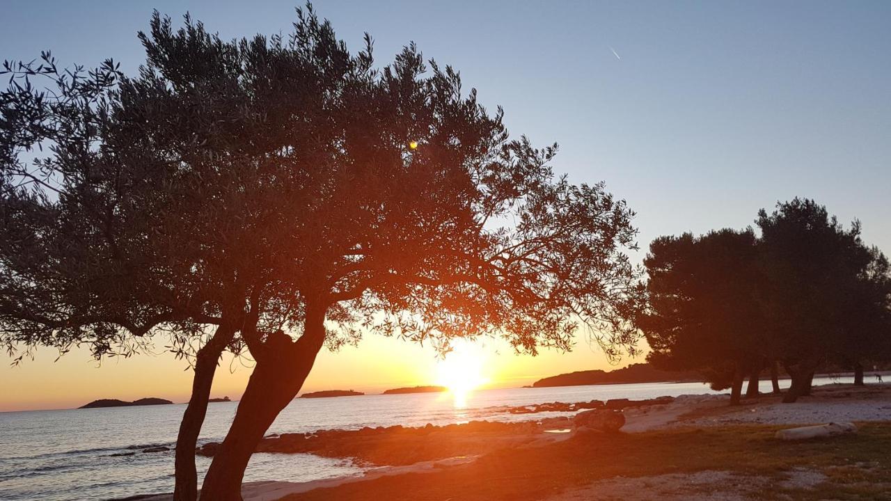 Apartments Alea Rovinj Ngoại thất bức ảnh